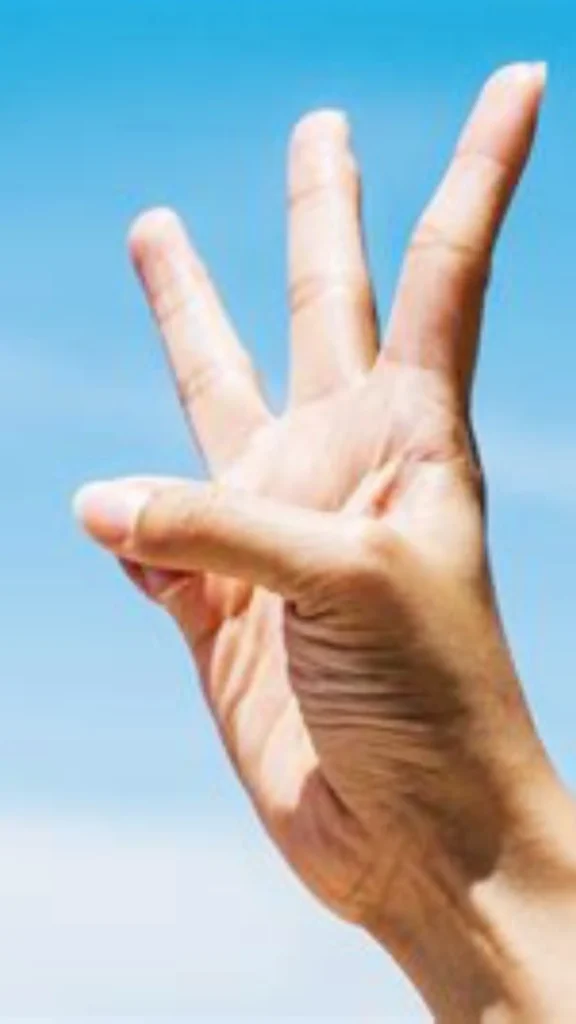 This Pinterest pin, titled "The Famous 333 Rule What It Actually Means.webp", features a hand held against a bright blue sky, clearly signaling the number three. This image serves as a conceptual guide for women's fashion, explaining the popular "333 rule" often used to structure a Capsule Wardrobe. It clarifies the true meaning behind this minimalist method, helping you understand how to curate a limited, versatile, and highly effective collection of clothing for your daily needs.